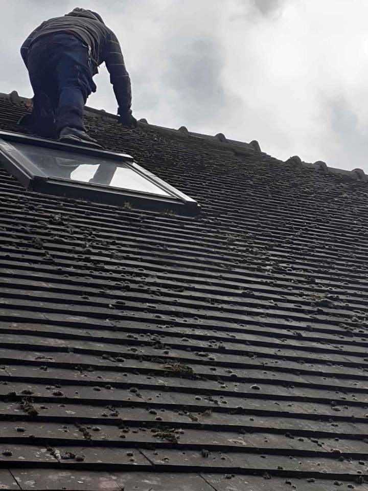 Démoussage de toiture Vernouillet