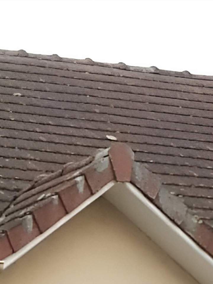 Entretien de toiture Vernouillet