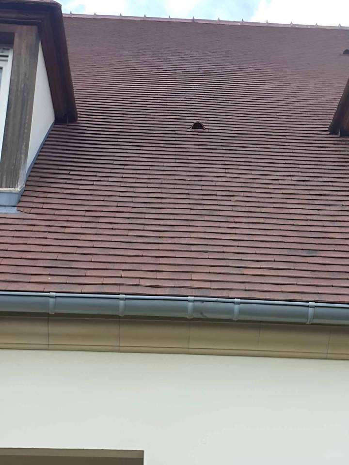 Service de nettoyage toiture Vernouillet