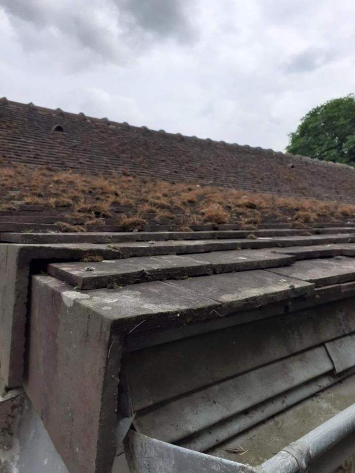 nettoyage toiture haute pression Vernouillet