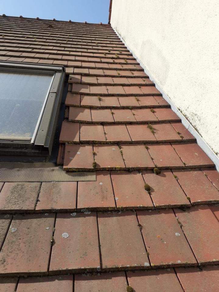 Démoussage de toiture Vernouillet